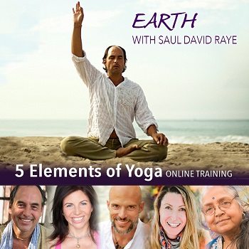 5 Elements of Yoga - Ritam Healing Arts